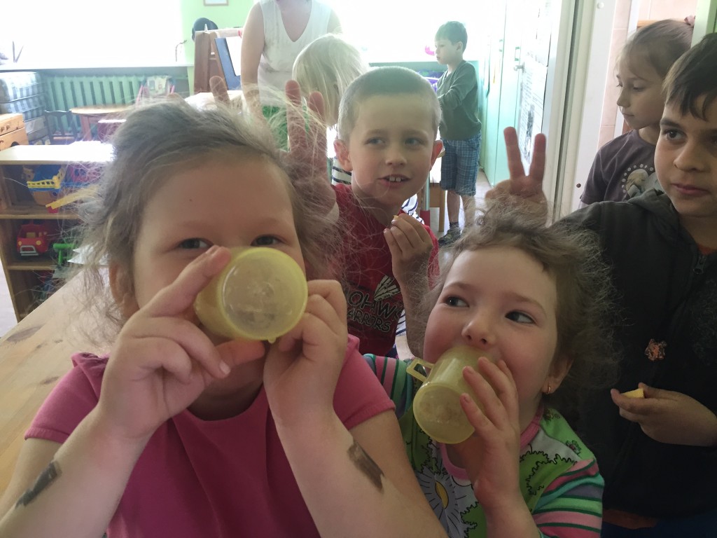 14_Cases_Kseniaj_Emilia_poisid